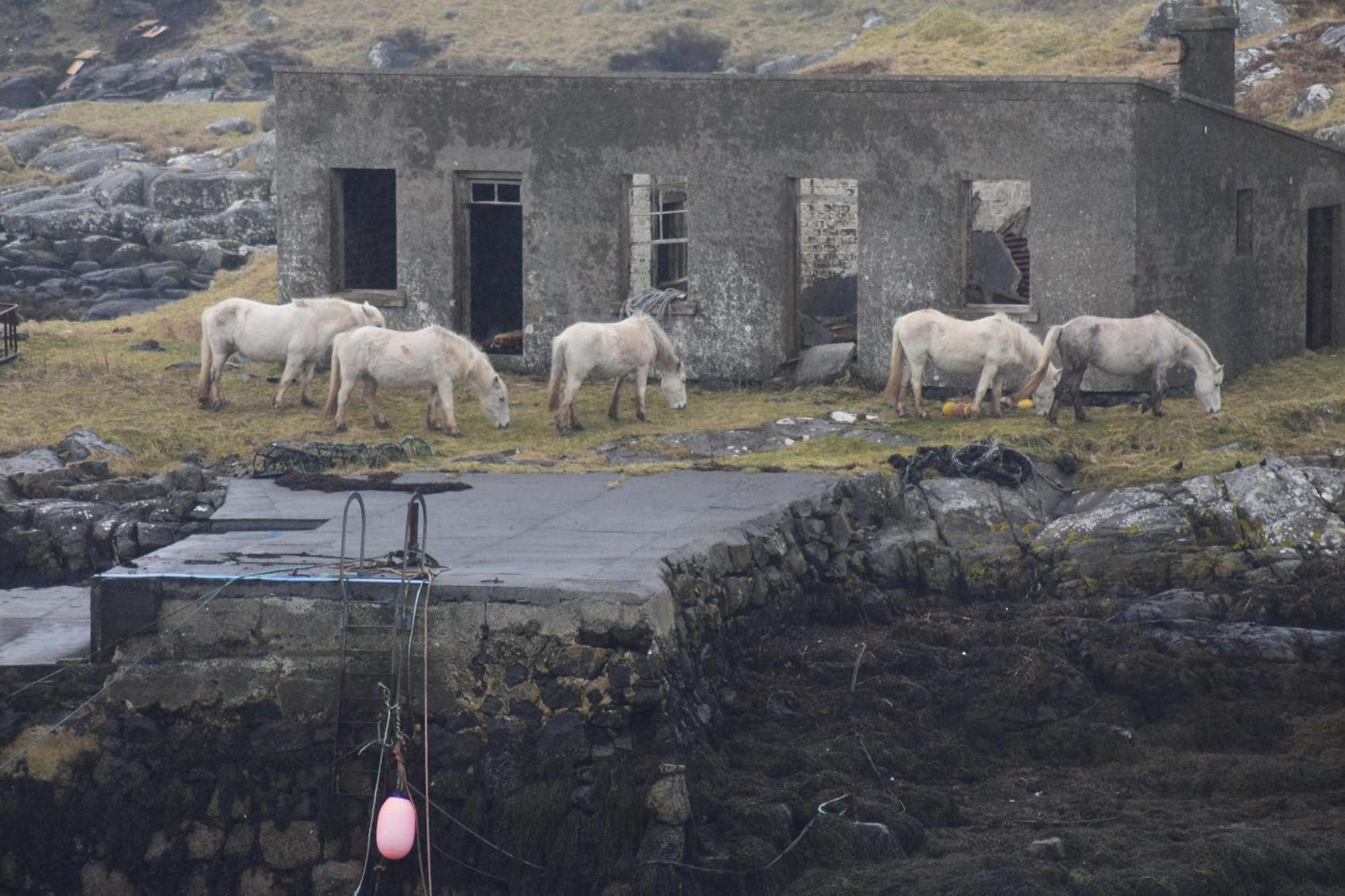Glamping Pod For 2 Pod Beag Na Haun Eriskay Villa Kültér fotó
