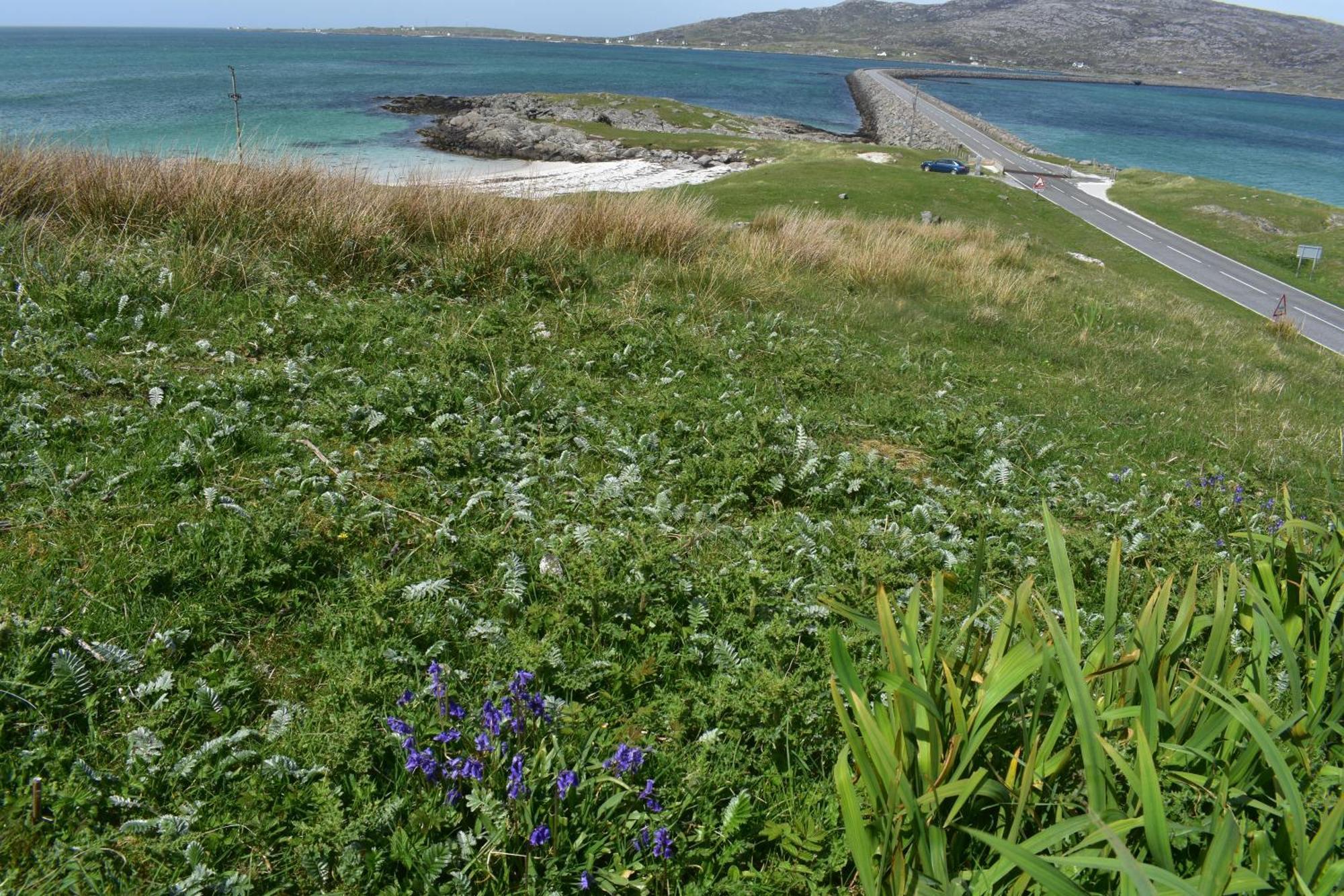Glamping Pod For 2 Pod Beag Na Haun Eriskay Villa Kültér fotó